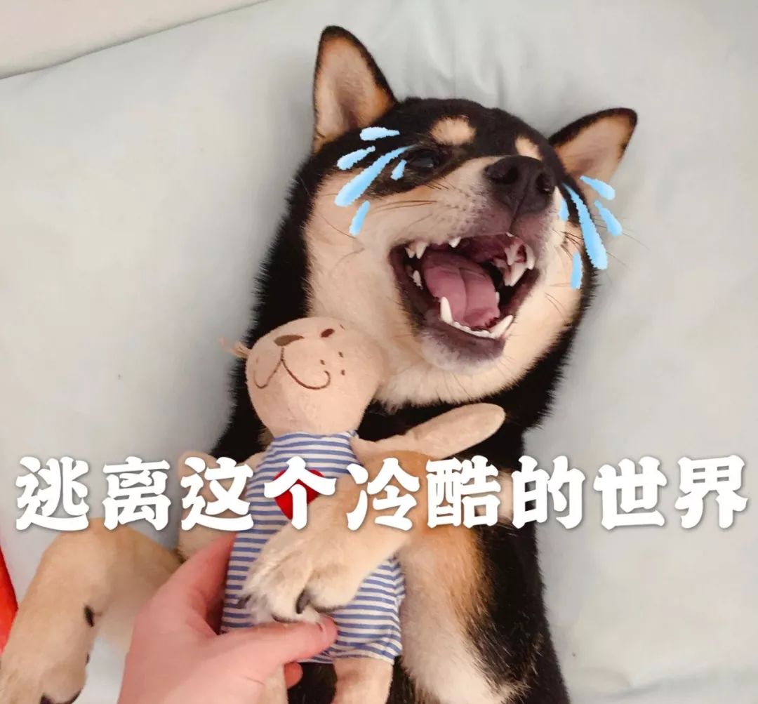 DƬ